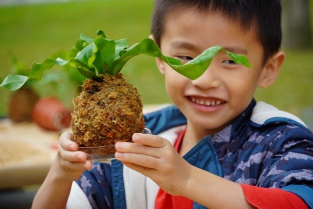 苔球DIY