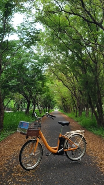 中06_3大武山平地森林糖鐡自行車道